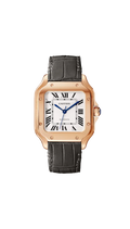 Cartier Santos de Super Clone Swiss Machine