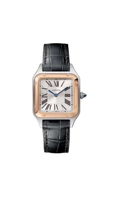 Cartier Santos de Super Clone Swiss Machine